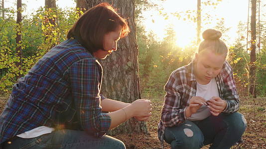 母亲和女儿在日落景观的松林中采摘视频的预览图