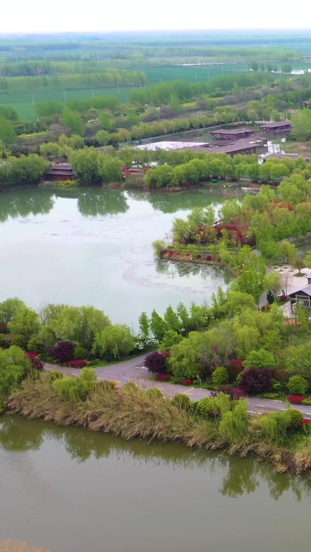 航拍5A洪泽湖湿地公园景工委岛视频视频的预览图