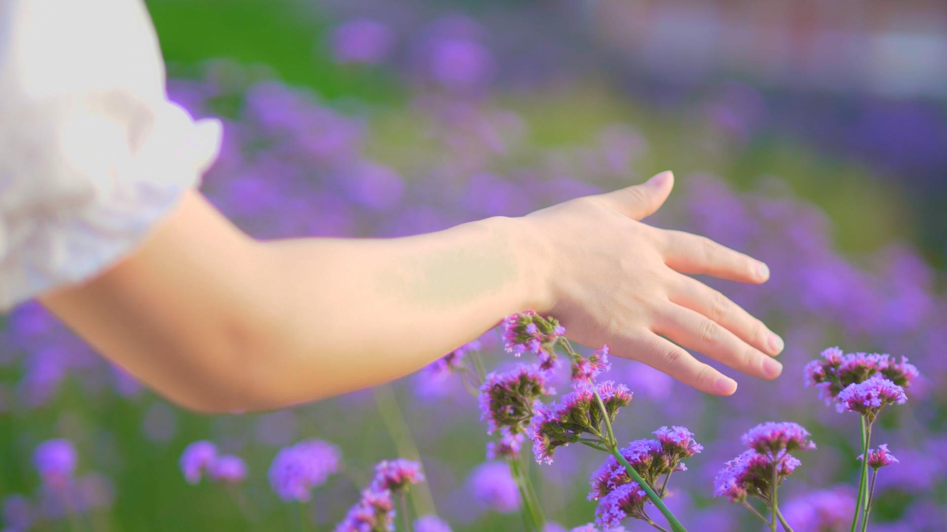 4K拍摄春天唯美美女手摸紫色花视频素材视频的预览图