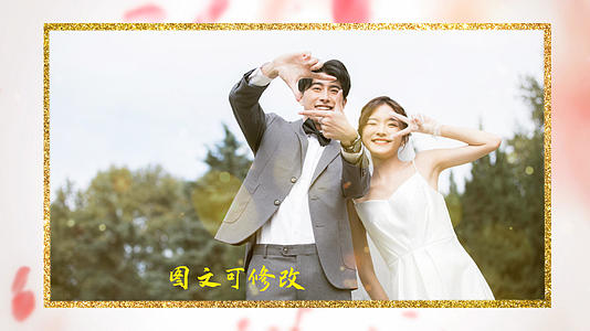 浪漫婚礼相册PR模板视频的预览图