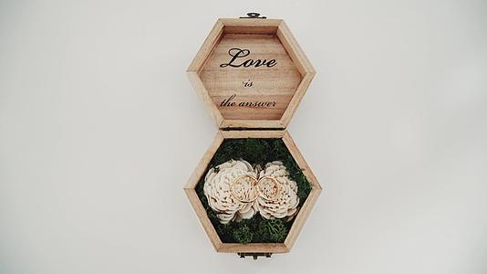 结婚戒指在绿草上的苔藓木箱里视频的预览图