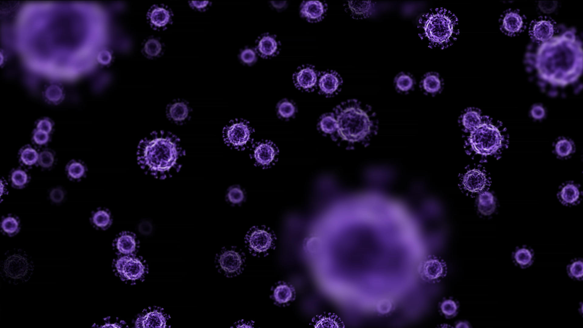 医疗细菌动画元素带透明度通道视频的预览图