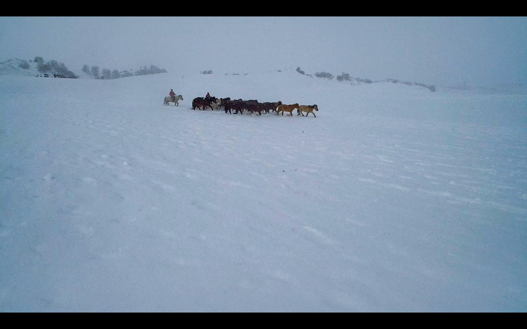 内蒙古乌兰布统坝上草原冬季跑马航拍视频视频的预览图