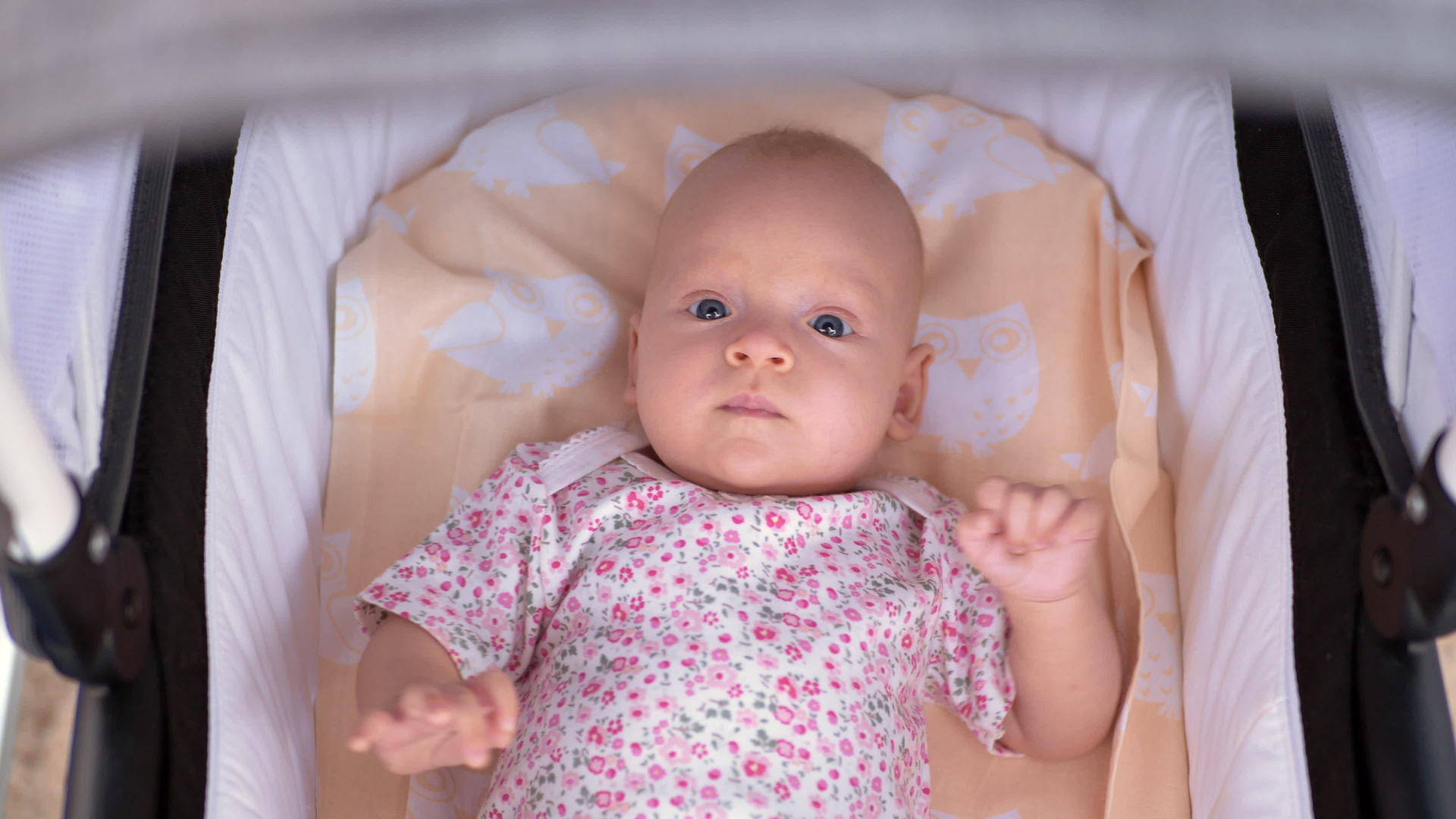 一个三个月大的女婴躺在婴儿车里视频的预览图