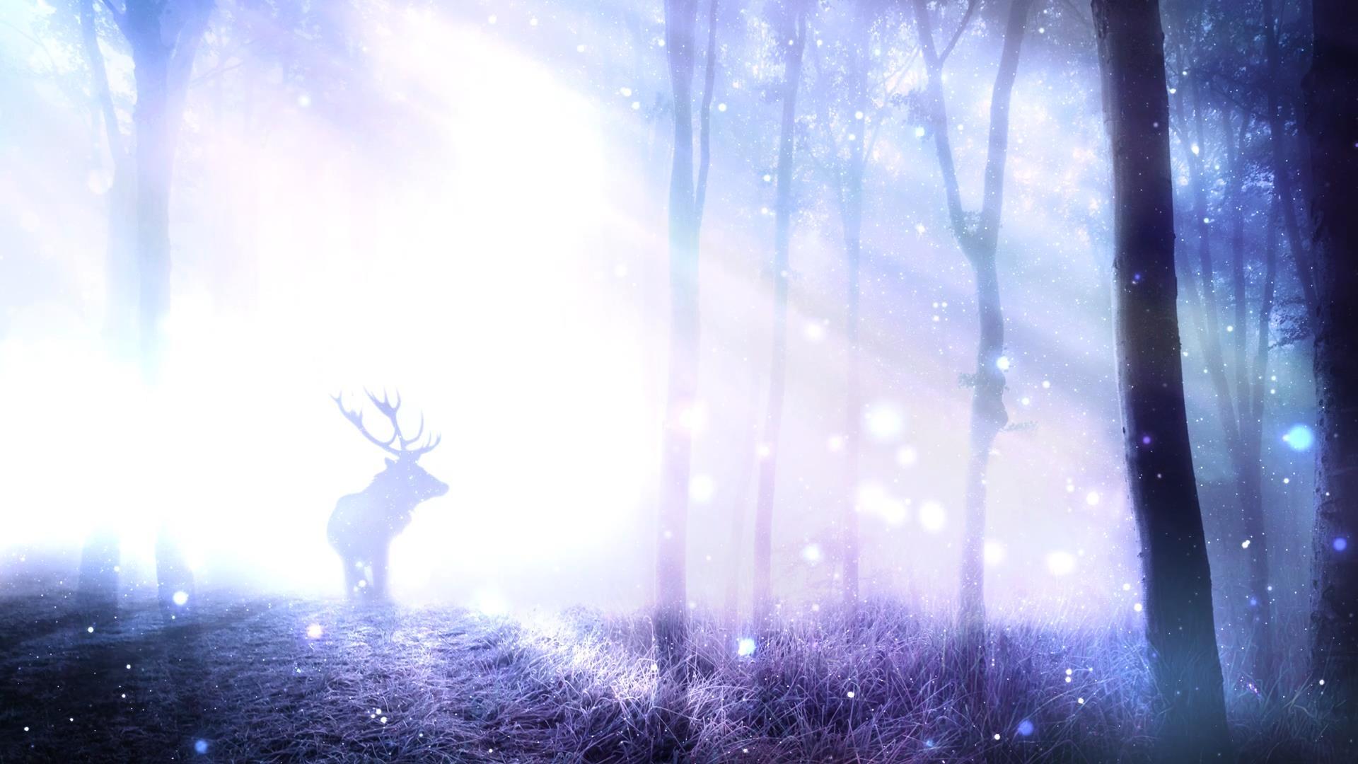 梦幻森林光影荧光粒子动态视频背景元素视频的预览图
