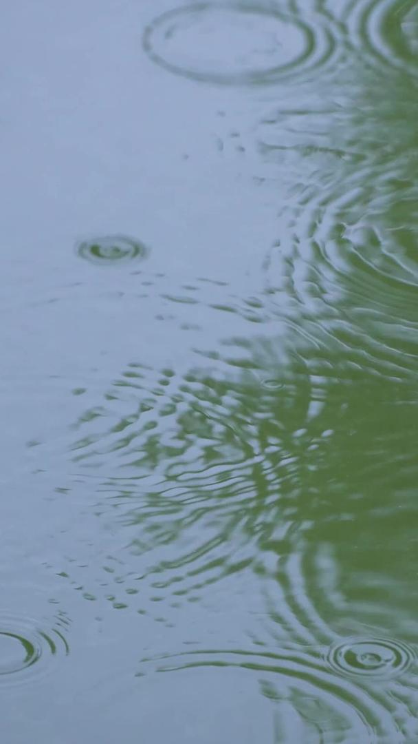 慢动作升级摄影下雨雨雨季节素材视频的预览图