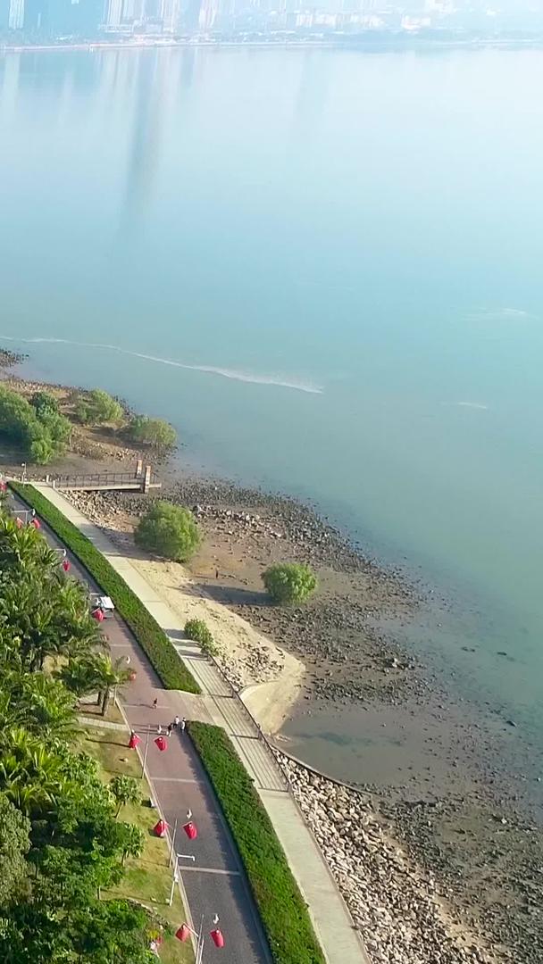 沿海的深圳湾公园绿道视频的预览图