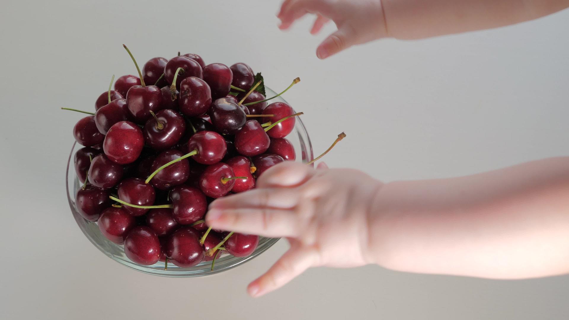感官游戏婴儿触摸浆果作为蒙台梭利材料儿童甜樱桃视频的预览图