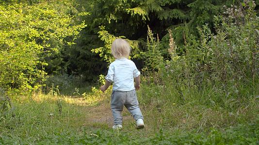 小男孩沿着森林中的小路行走视频的预览图