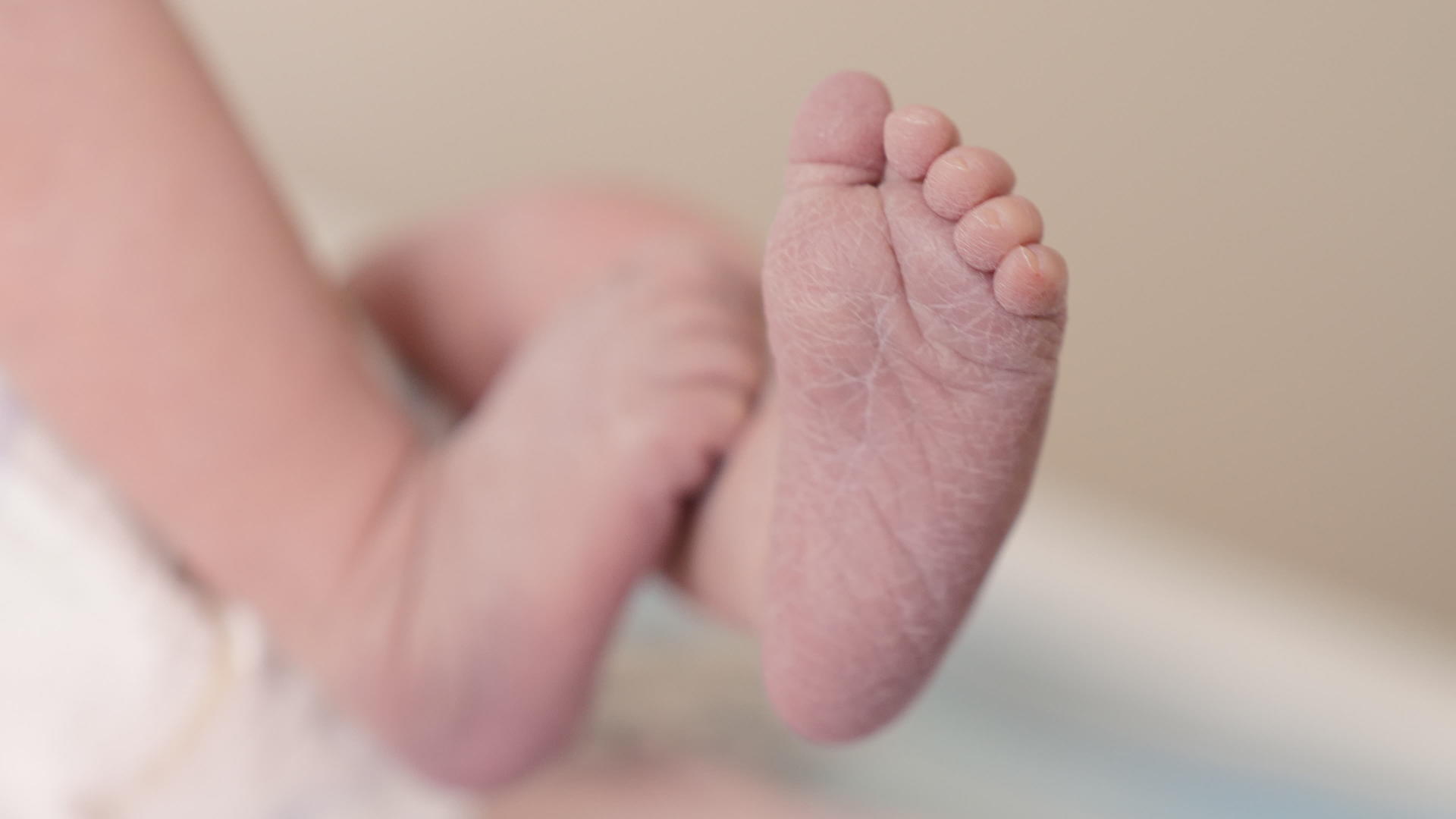 新生儿的脚视频的预览图