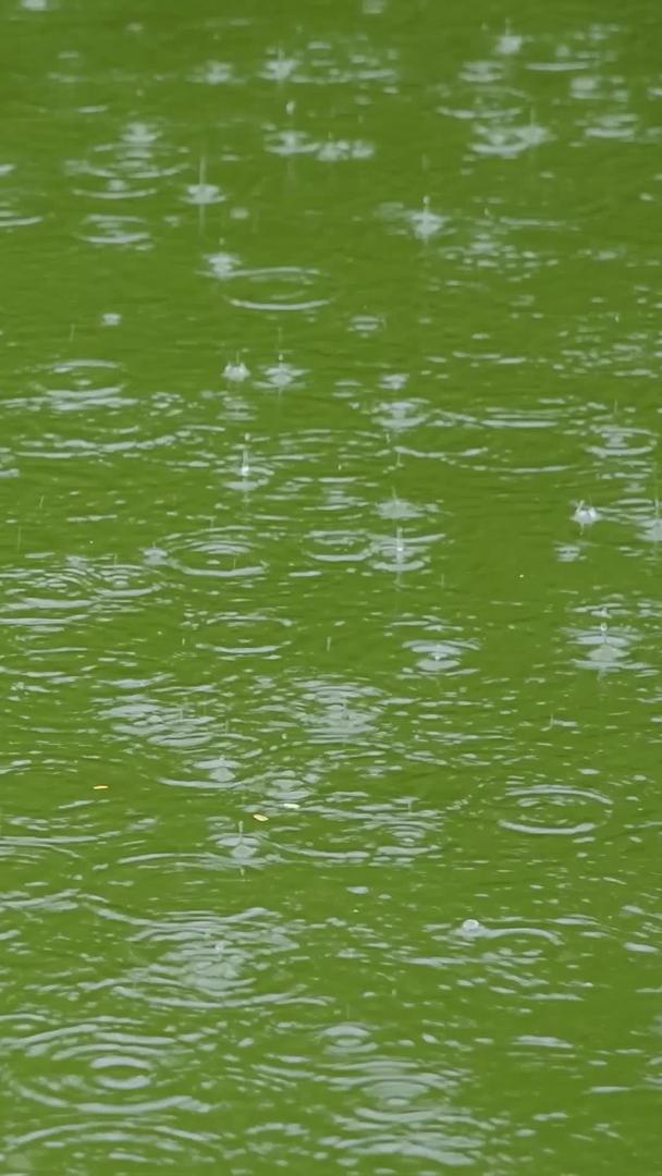 下雨天的水面视频的预览图