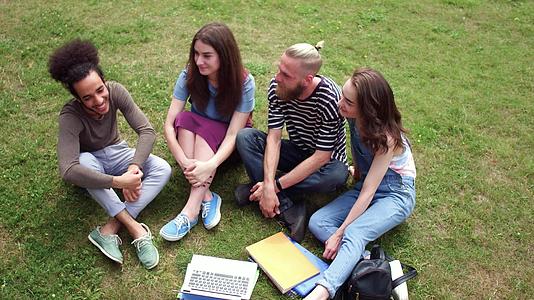 四个大学生朋友坐在草坪上谈话视频的预览图