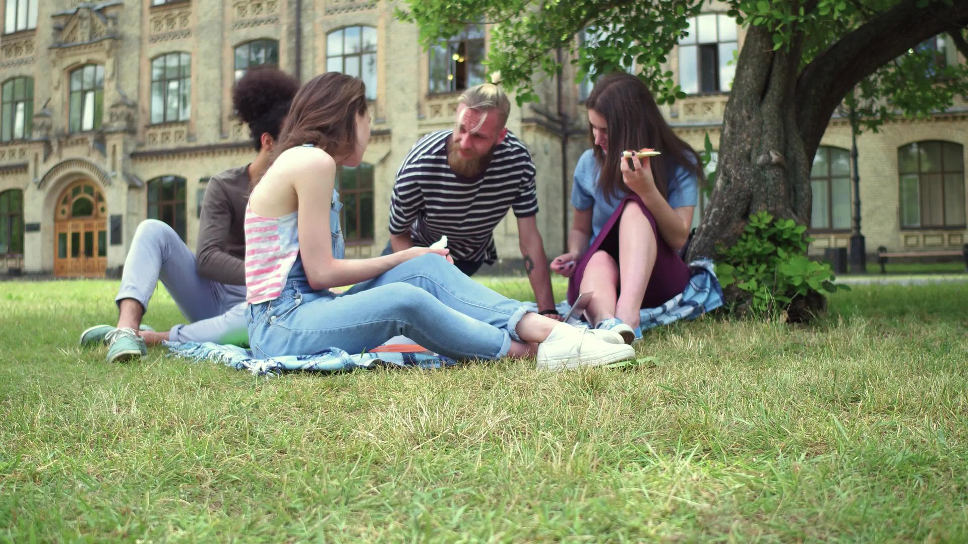 大学生朋友坐在草地上享受比萨饼视频的预览图