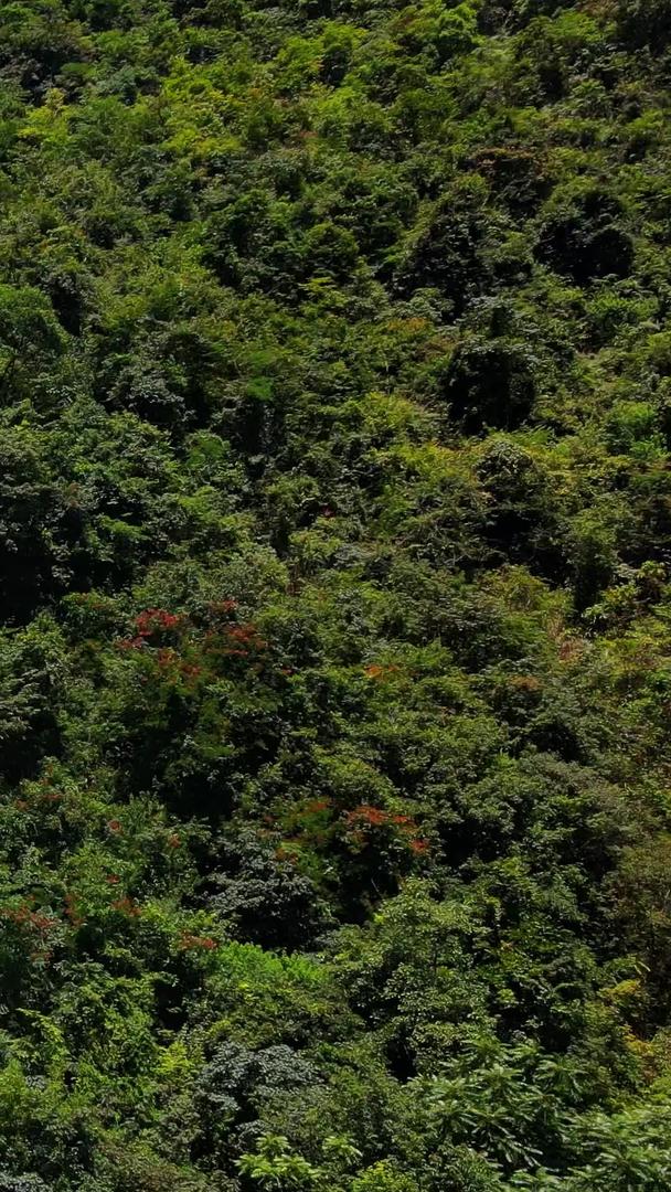 巨大的瀑布在航拍森林中的自然风光视频素材视频的预览图