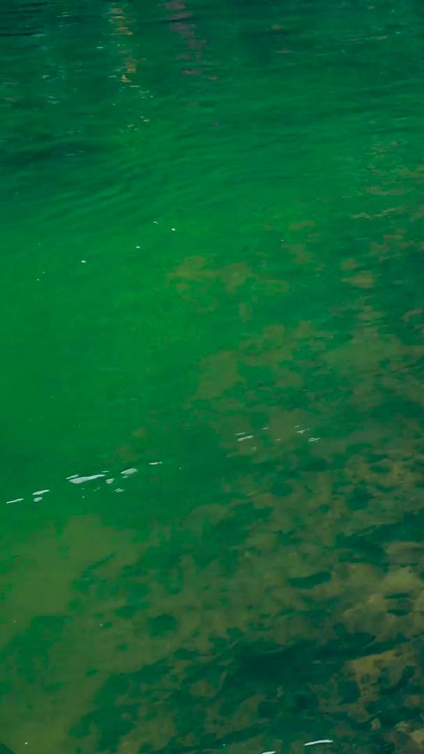 贵州荔波瀑布落水潭视频的预览图