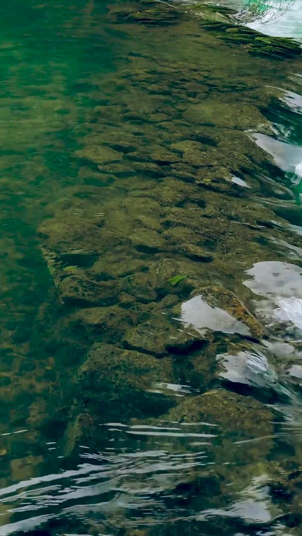 贵州荔波瀑布落水潭视频的预览图