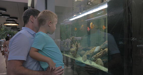 婴儿和儿童在商店窗口水族馆看鱼视频的预览图