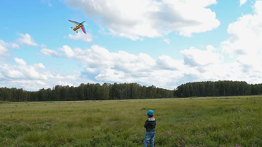 农村儿童放风筝视频的预览图