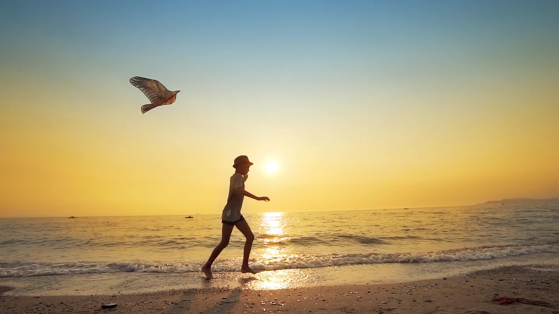 日落时男孩在海滩上放风筝视频的预览图