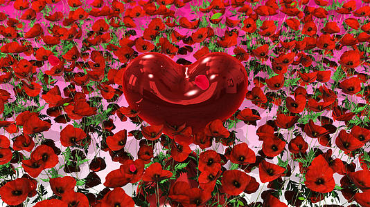 4K三维爱心鲜花背景素材视频的预览图