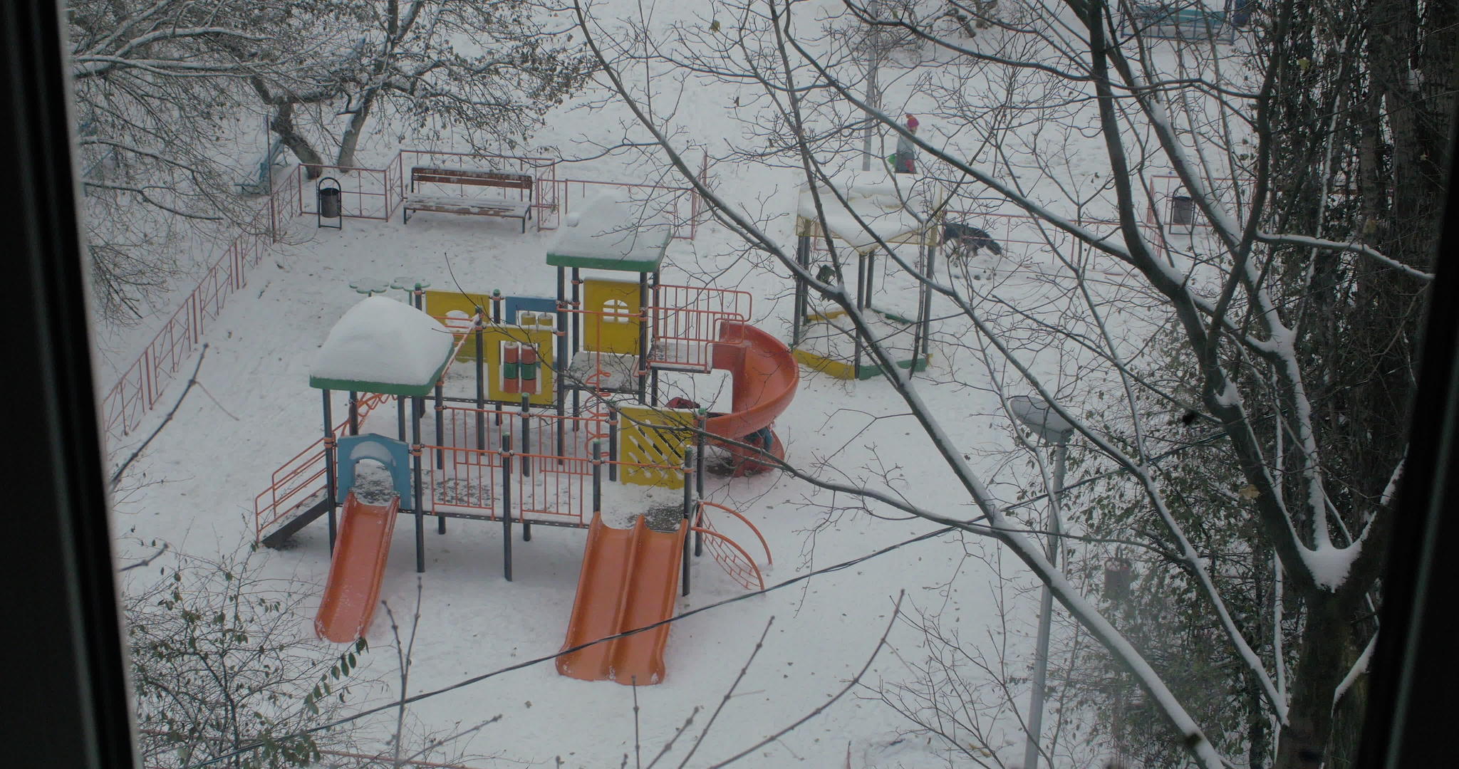 冬天在游乐园一起玩的朋友视频的预览图