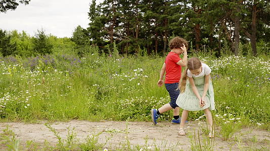 在夏天的户外活动中孩子们在花草地上散步和玩耍流视频的预览图