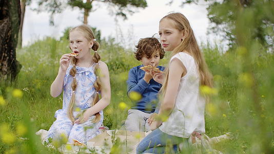 青少年女孩和男孩在野餐时坐在野花草地上吃披萨视频的预览图