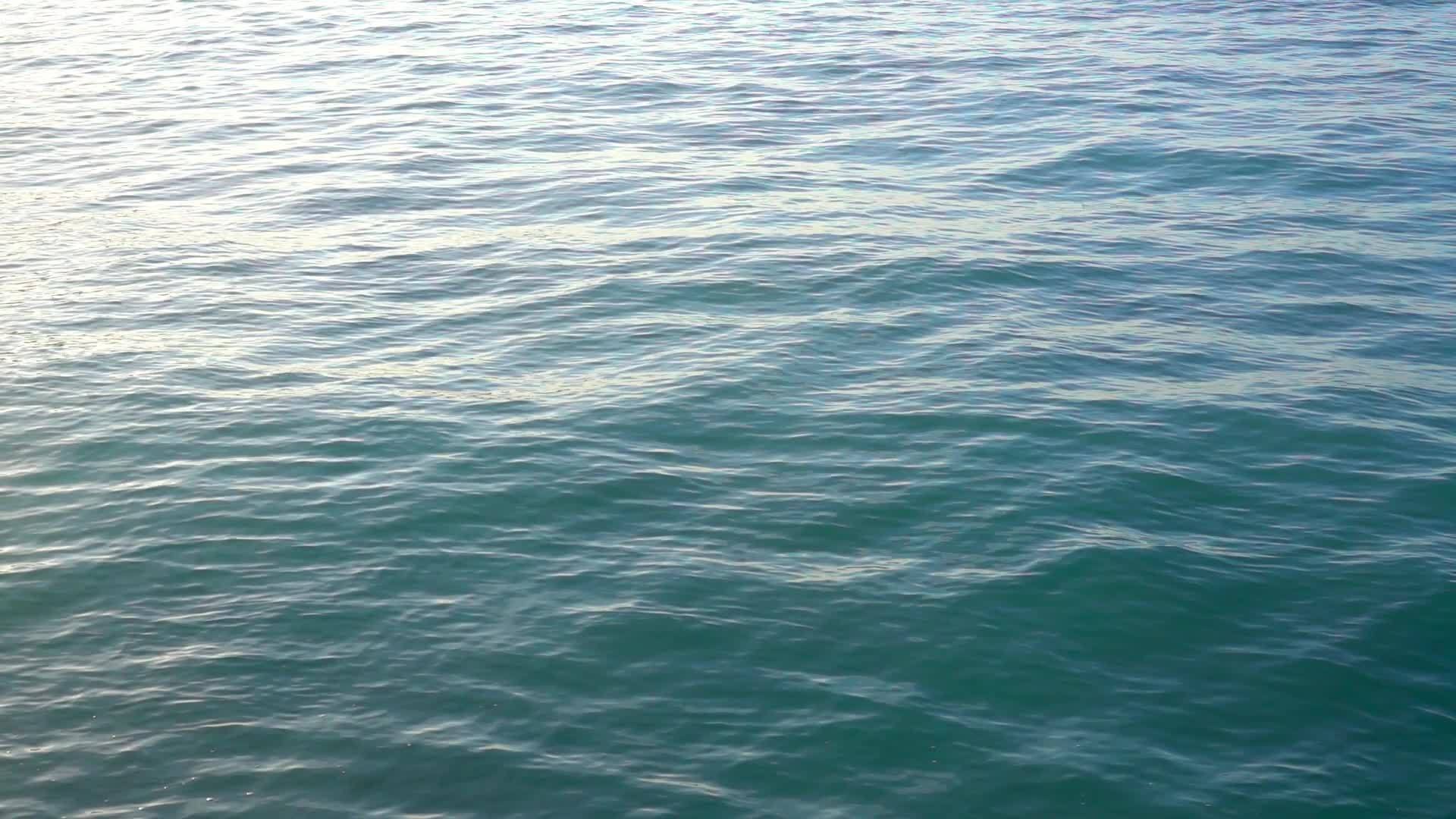 美丽的热带水慢动录影带视频的预览图
