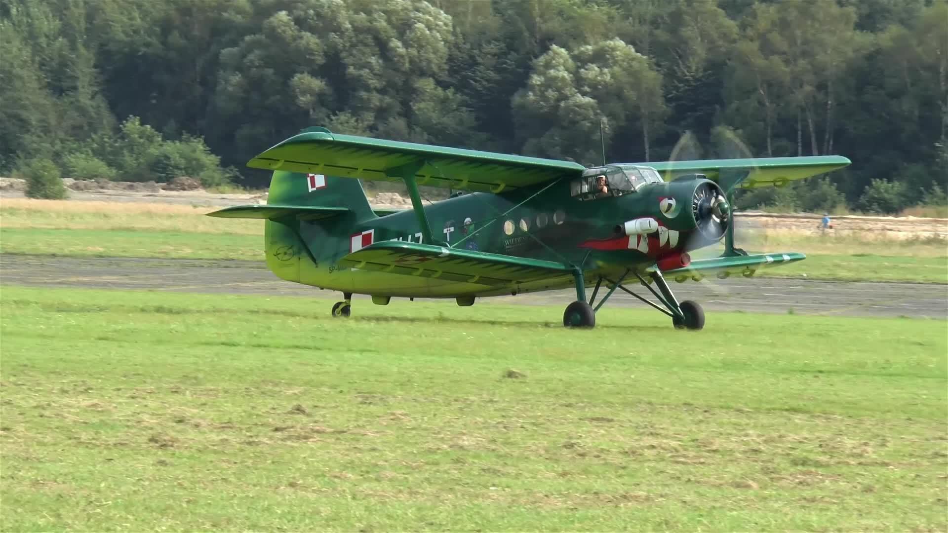 旧的双翼飞机架在草坪跑道上视频的预览图