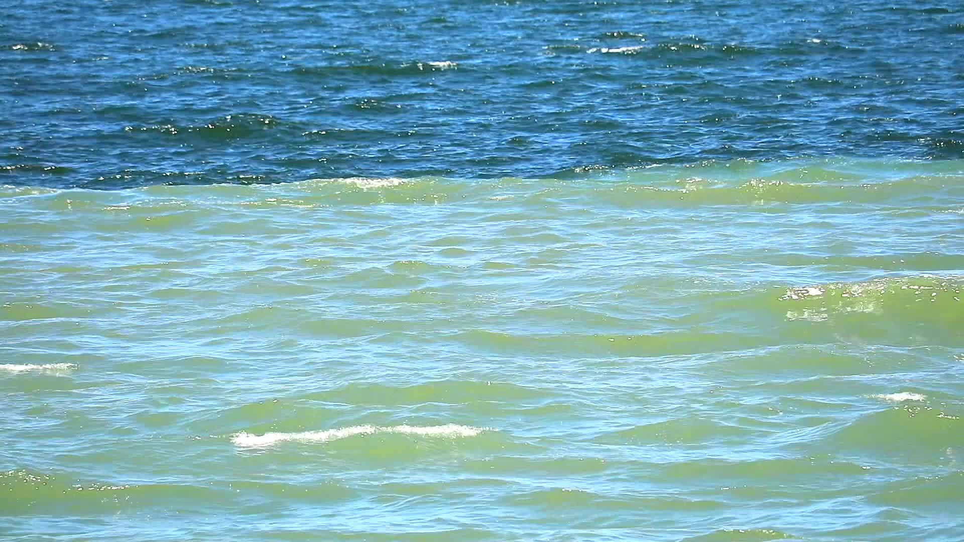 两种颜色的海水现象取决于淡水的反流视频的预览图