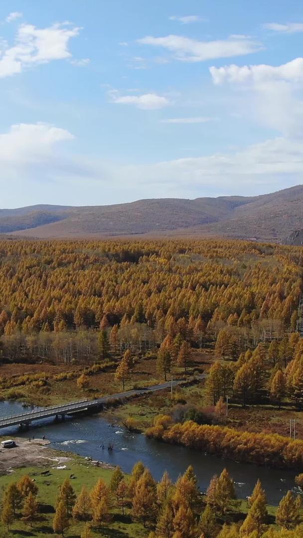 阿尔山秋季航拍内蒙古旅游景区风景名胜视频的预览图