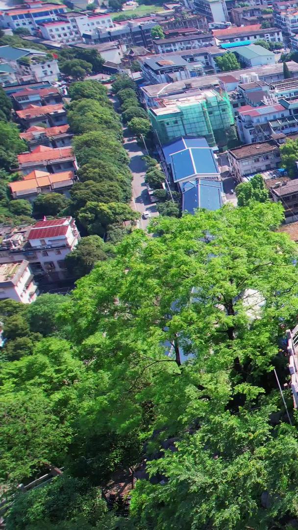 游客航拍在桂林5A景区叠彩山顶和伏波山顶视频的预览图