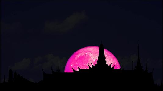 四千个粉红色的月亮回到原来的佛教寺庙视频的预览图