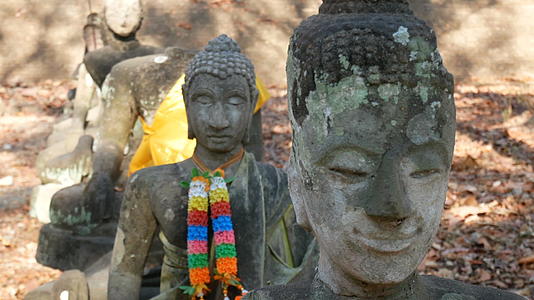 泰国崇拜佛像视频的预览图