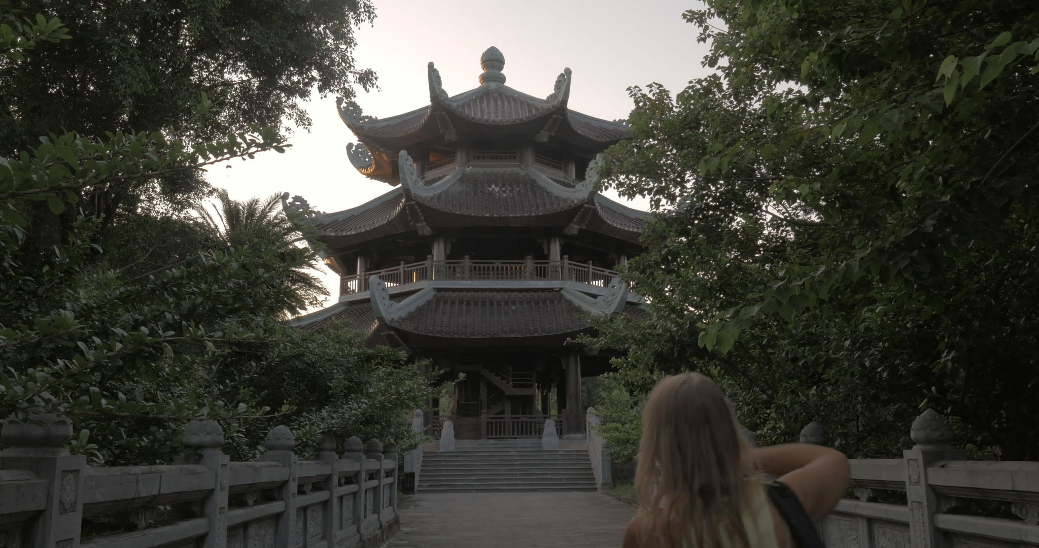 维特南寺庙视频的预览图