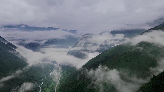 4K实拍云山雾绕神农架林区视频的预览图