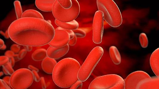微观体内细胞血液红细胞无缝循环动画视频的预览图