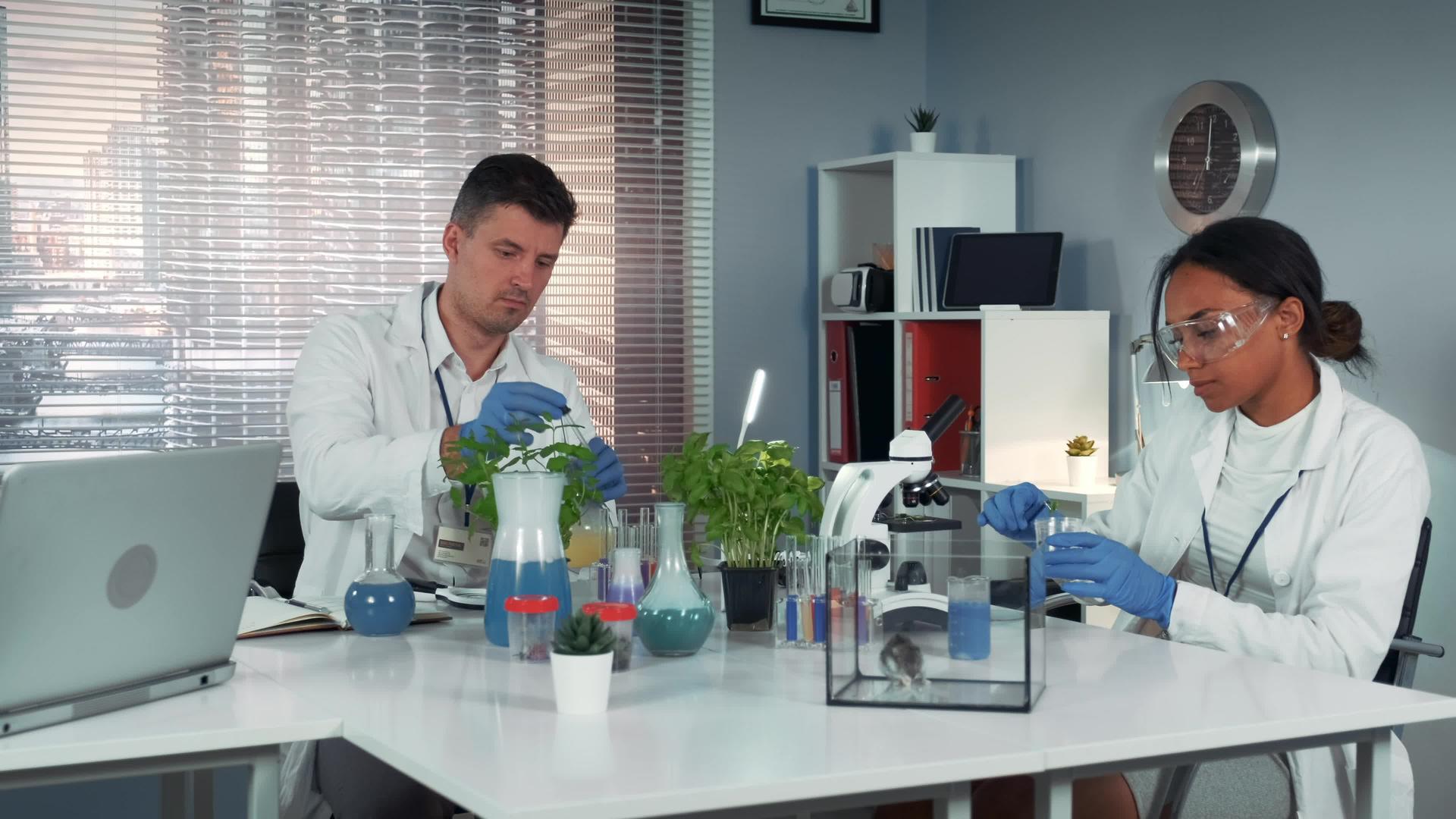 现代实验室科学家帮助他的同事在瓶子里测试化肥视频的预览图
