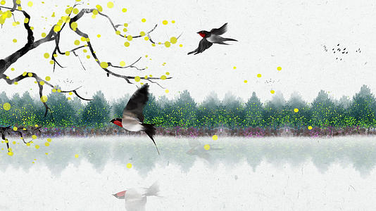 湖边飞鸟唯美水墨动态背景视频的预览图