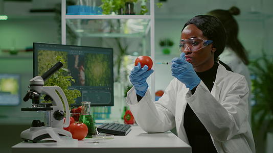 非洲生物化学家用杀虫剂注射有机番茄视频的预览图