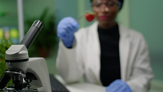 非洲生物学家持有草莓并使用医用草莓tweezers注射dna视频的预览图