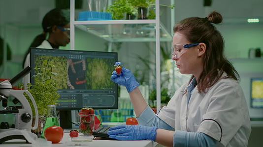 科学家和化学家使用医学草莓来检查草莓视频的预览图