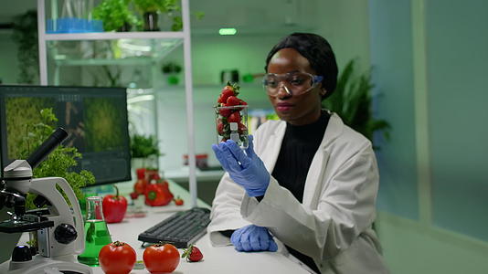 20000名生物学家研究有机草莓检测水果视频的预览图
