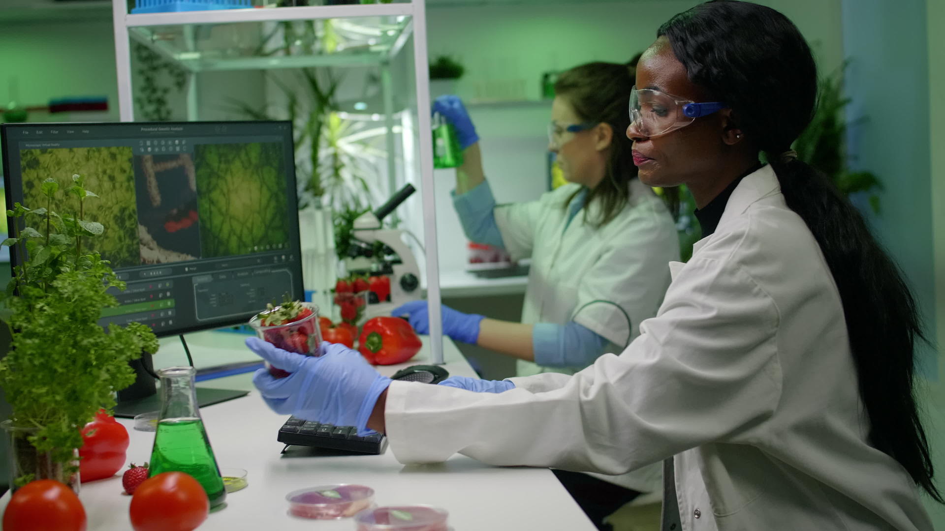 用农药喷雾剂研究草莓注射的药物科学家包括视频的预览图