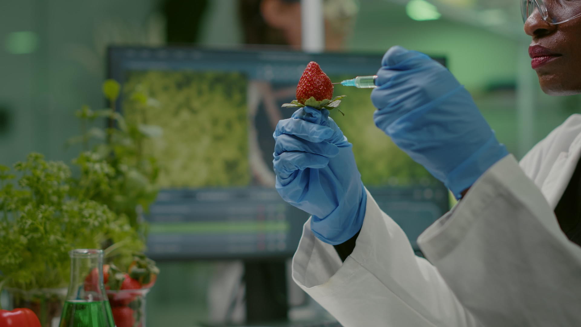 化学家科学家家用化学农药注射天然草莓视频的预览图