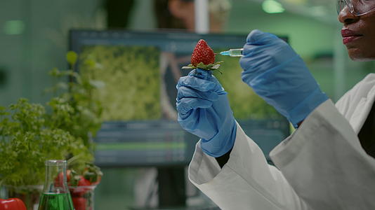 化学家科学家家用化学农药注射天然草莓视频的预览图