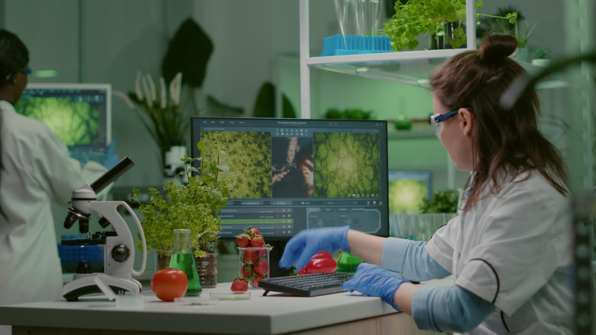 喷洒草莓和农药的科学家视频的预览图