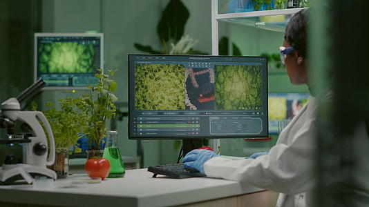 女性科学家在计算机上输入微生物学专业知识视频的预览图
