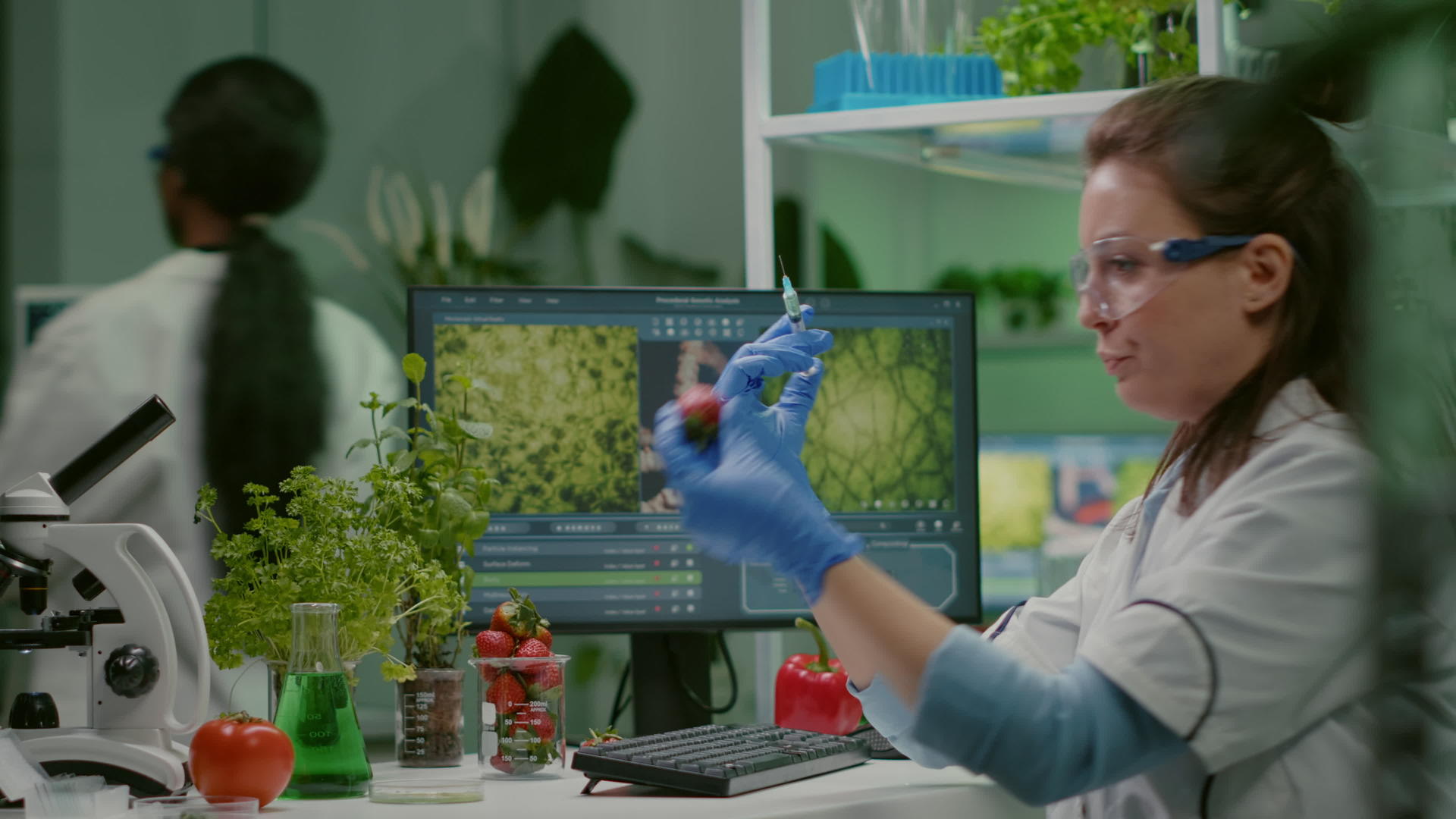 注射草莓和杀虫剂的化学科学家gmo水果的甘油视频的预览图