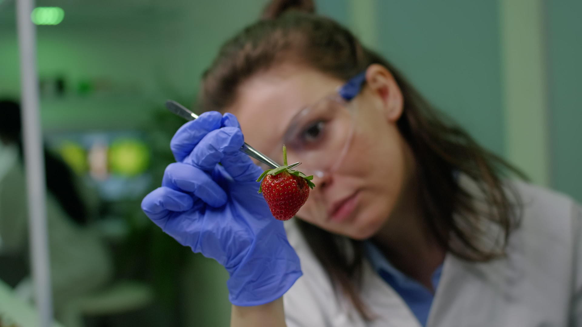 与草莓和tweezers结合生物学家女性视频的预览图